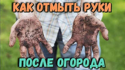 Как отбелить руки после работы в саду и огороде Самые полезные советы и дачные хитрости